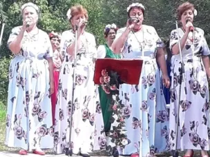 День села Тришкино